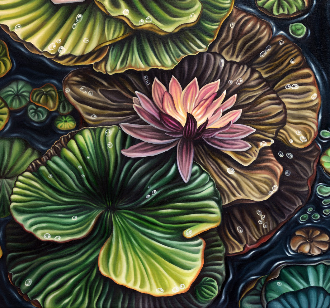 Lily Pads