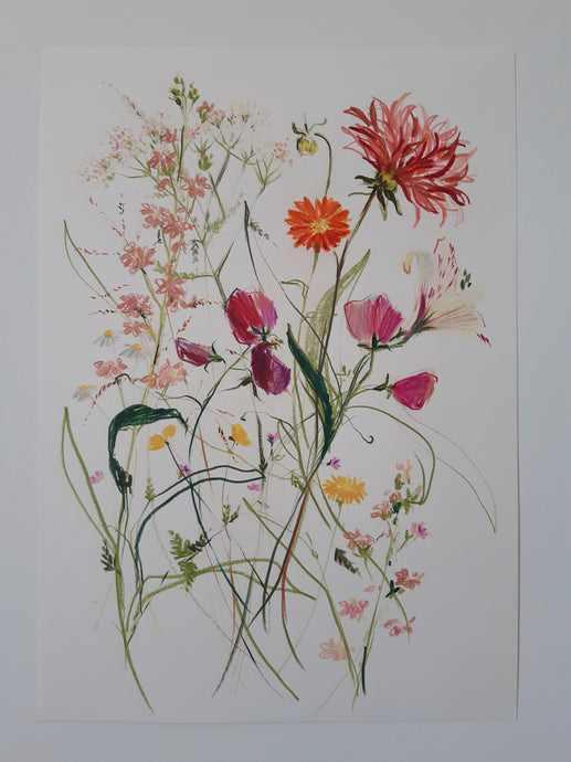 Still life on